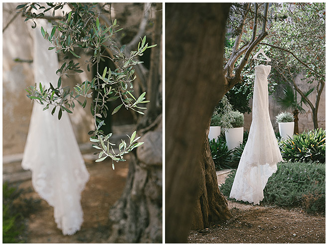 Brautkleid in Olivenbaum auf Hochzeit auf Mallorca © Hochzeitsfotograf Berlin hochzeitslicht